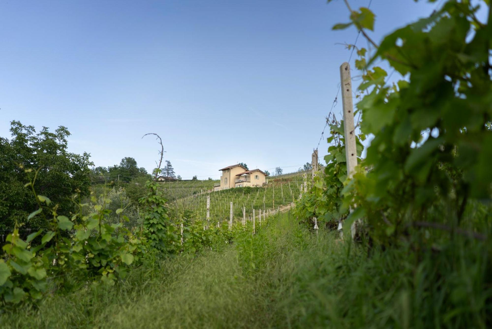 I Ciabot Di Monforte Monforte dʼAlba Exterior foto